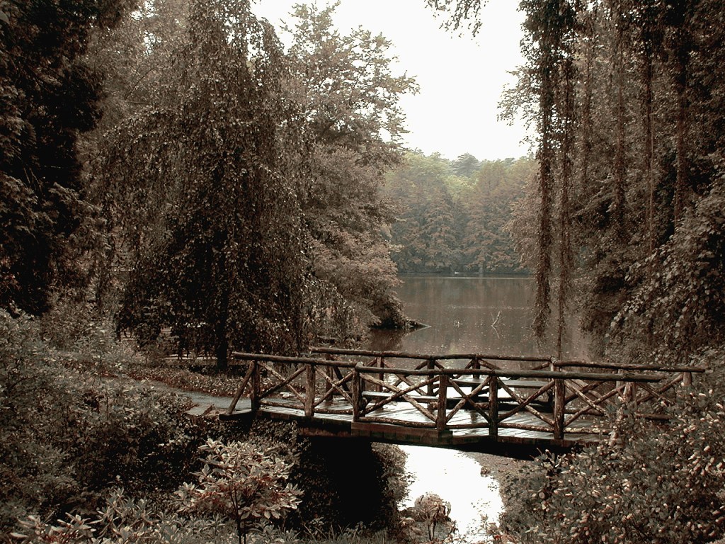robert santafede carolinas bridge