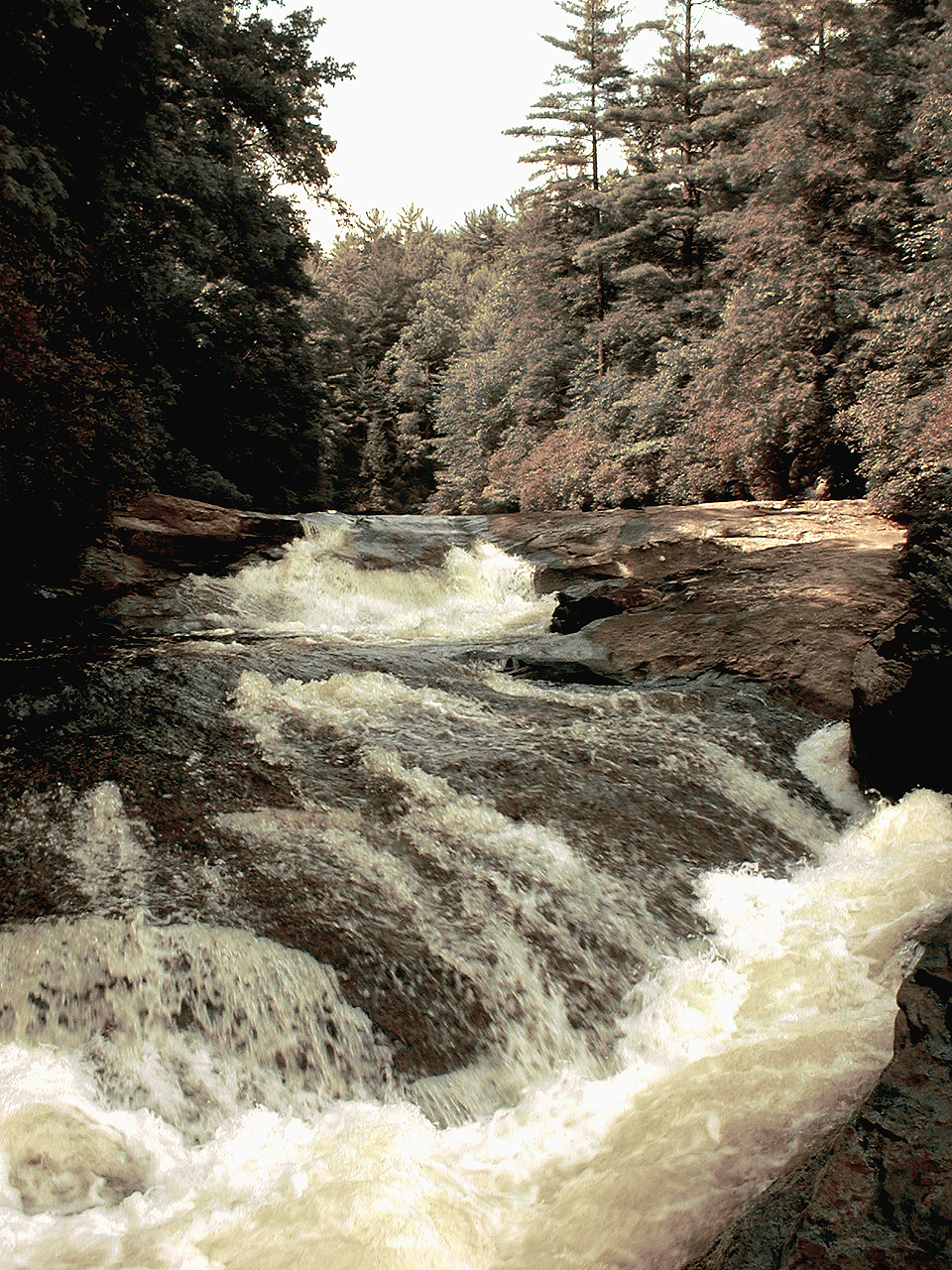 robert-santafede-carolinas-water robert santafede carolinas water