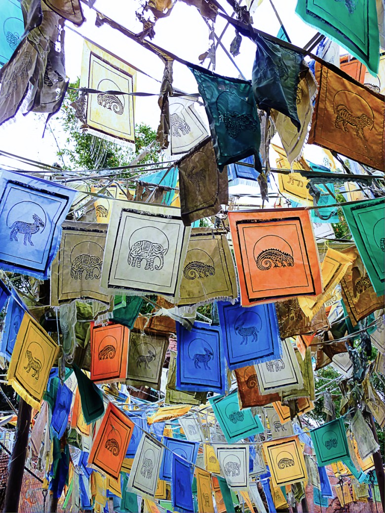 robert santafede flags