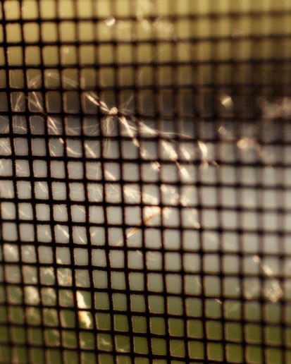 Robert Santafede Screen Shot