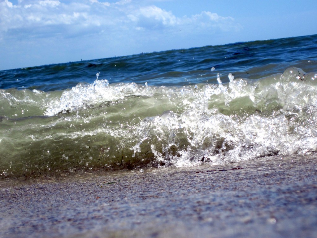 robert santafede splash