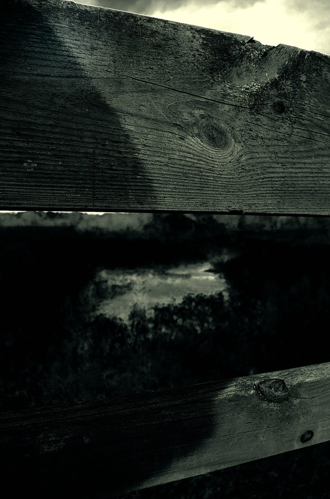 robert santafede in between