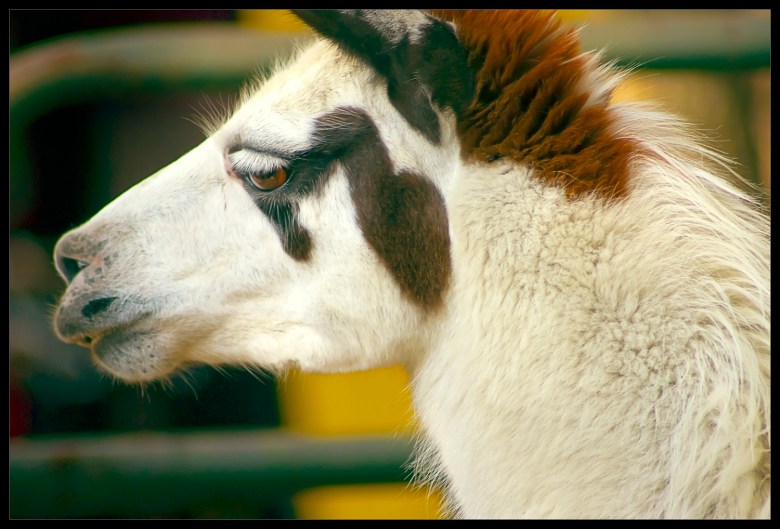 "Seven" by Robert Santafede