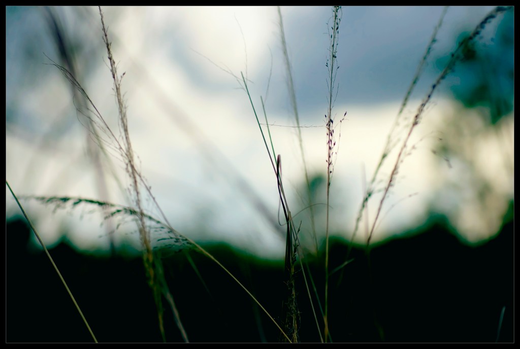 robert santafede string