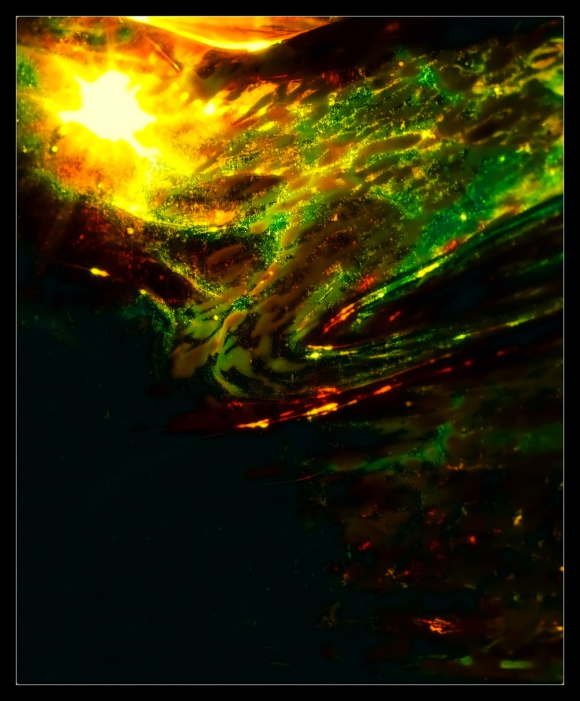 robert santafede swirl