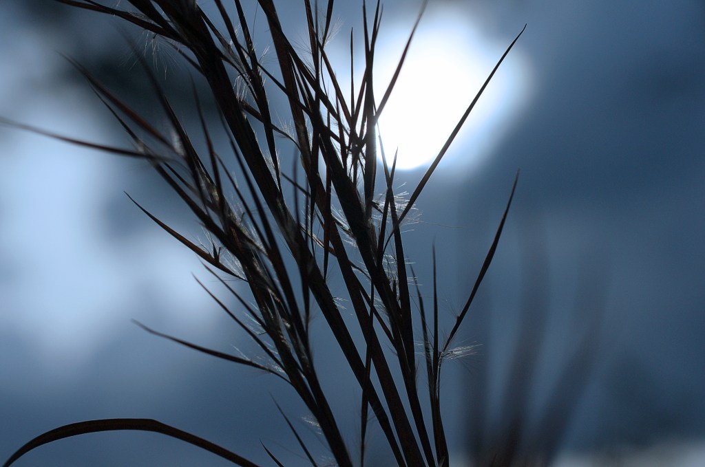 robert-santafede-switch robert santafede switch