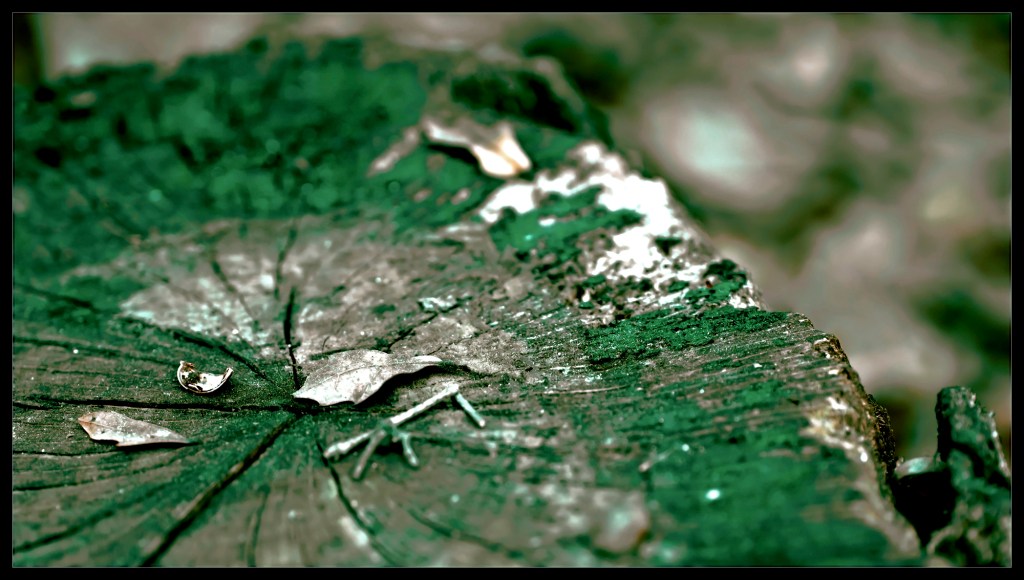 robert-santafede-the-offering robert santafede offering