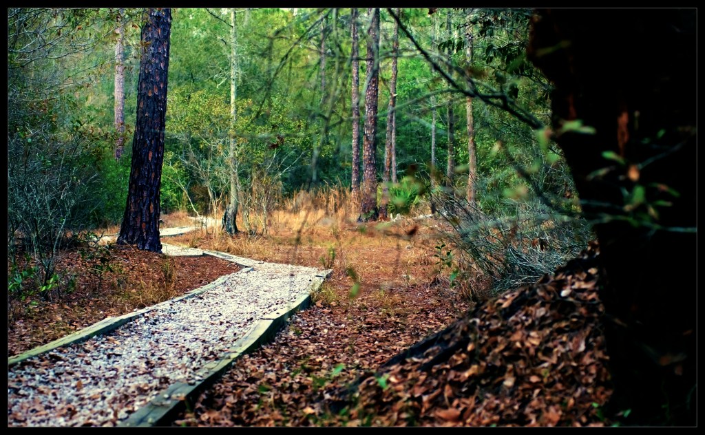 robert-santafede-the-way-home robert santafede the way home