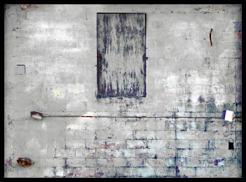 "Armor" A photograph by Robert Santafede