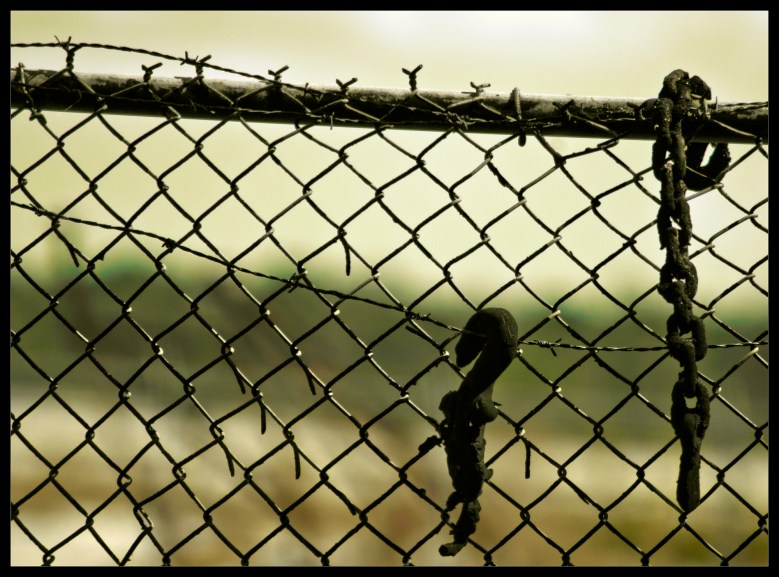 "Links" photographed by Robert Santafede.