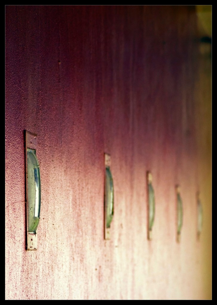 "Myopic" by Robert Santafede