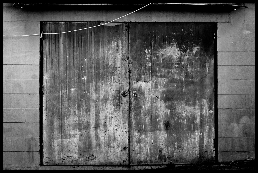 "Noble" photographed by Robert Santafede