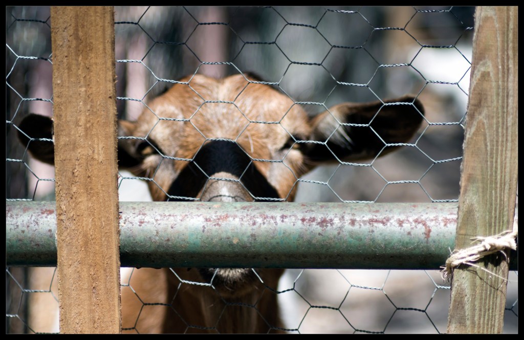 "Obstacles" - photography by Robert Santafede