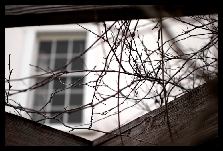 "Restrict" by Robert Santafede