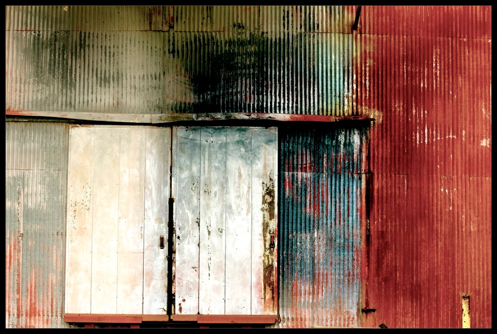 "Shell Shock" by Robert Santafede