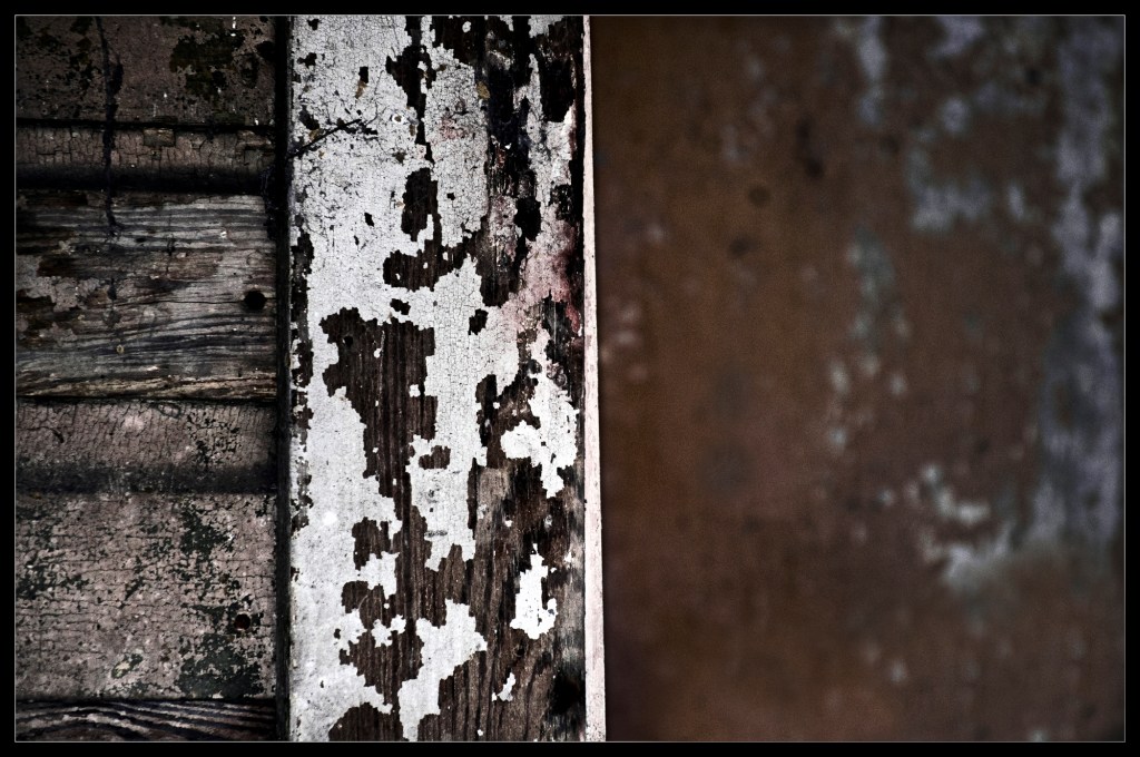 "Tempest" - a photograph by Robert Santafede