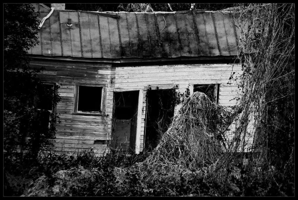 "The Hungry Ghost" A Photography by Robert Santafede