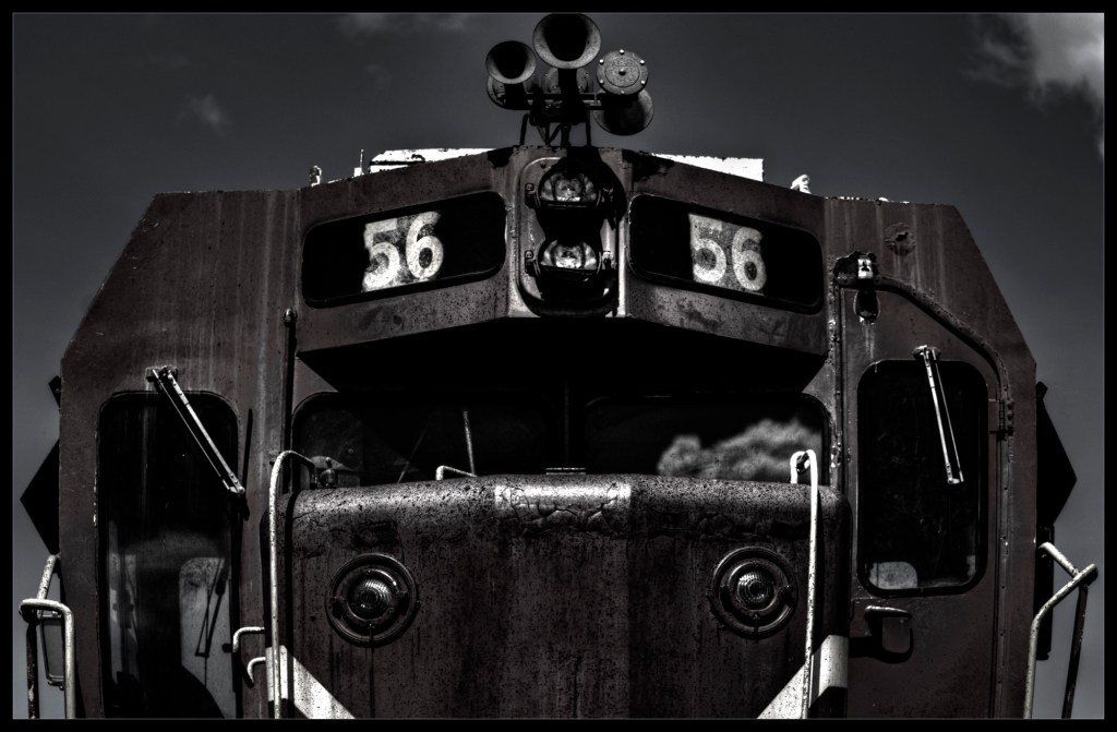 "Monster", a photograph by Robert Santafede.