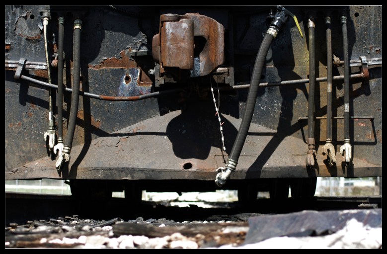 "The Opposition" by Robert Santafede