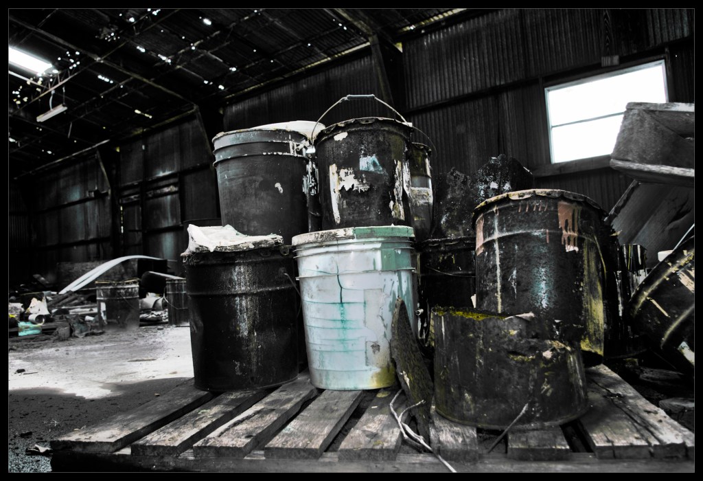 Plant #5 "Plant 5" Photography by Robert Santafede