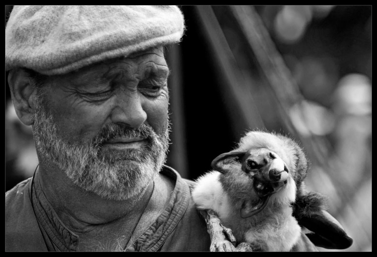 "Wonder" - A photograph by Robert Santafede