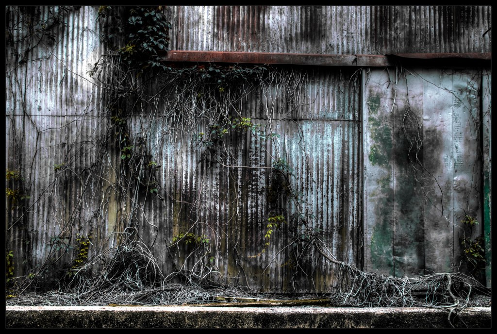 "Crawl", a photograph by Robert Santafede