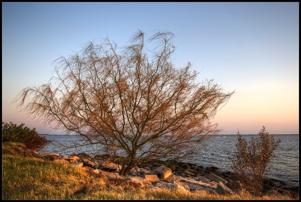 "Meridian", a color nature photograph by Robert Santafede.